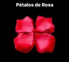 PETALOS ROSA RF-153