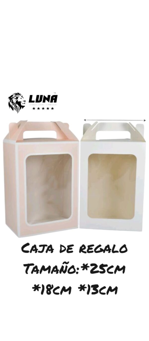 CAJA DE REGALO GRANDE MED:25CM X 18CM X 13CM RF:GD5535